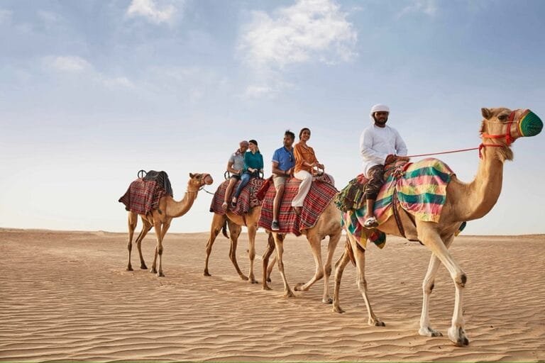 Middle Eastern Camel Racing Camel racing in the Middle East: from sporting to cultural event - LaLatina