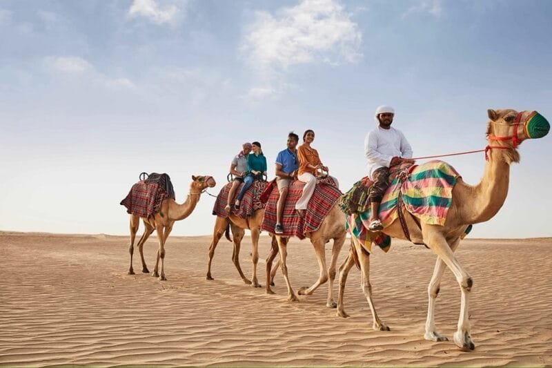 Camel Racing History Book Camel racing in the Middle East: from sporting to cultural event - LaLatina